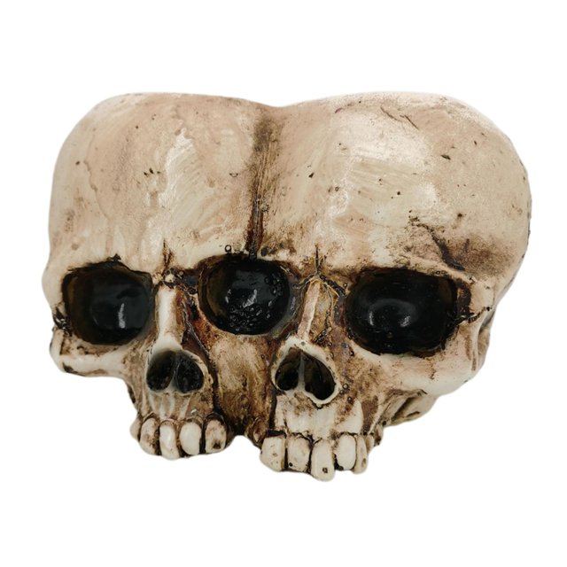 Maceta de Esqueleto Zulema Jardinera de Calaveras Decoración