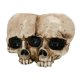thumbnail image 1 of Jardinera de calaveras Gloria para Decoración de adornos de Decoración Doble, 1 of 9
