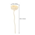 thumbnail image 2 of MIANGASTORE 10pcs Reed Diffuser Sticks Aroma Diffuser Sticks Flower Reed Sticks Fragrance Diffuser Sticks, 2 of 9