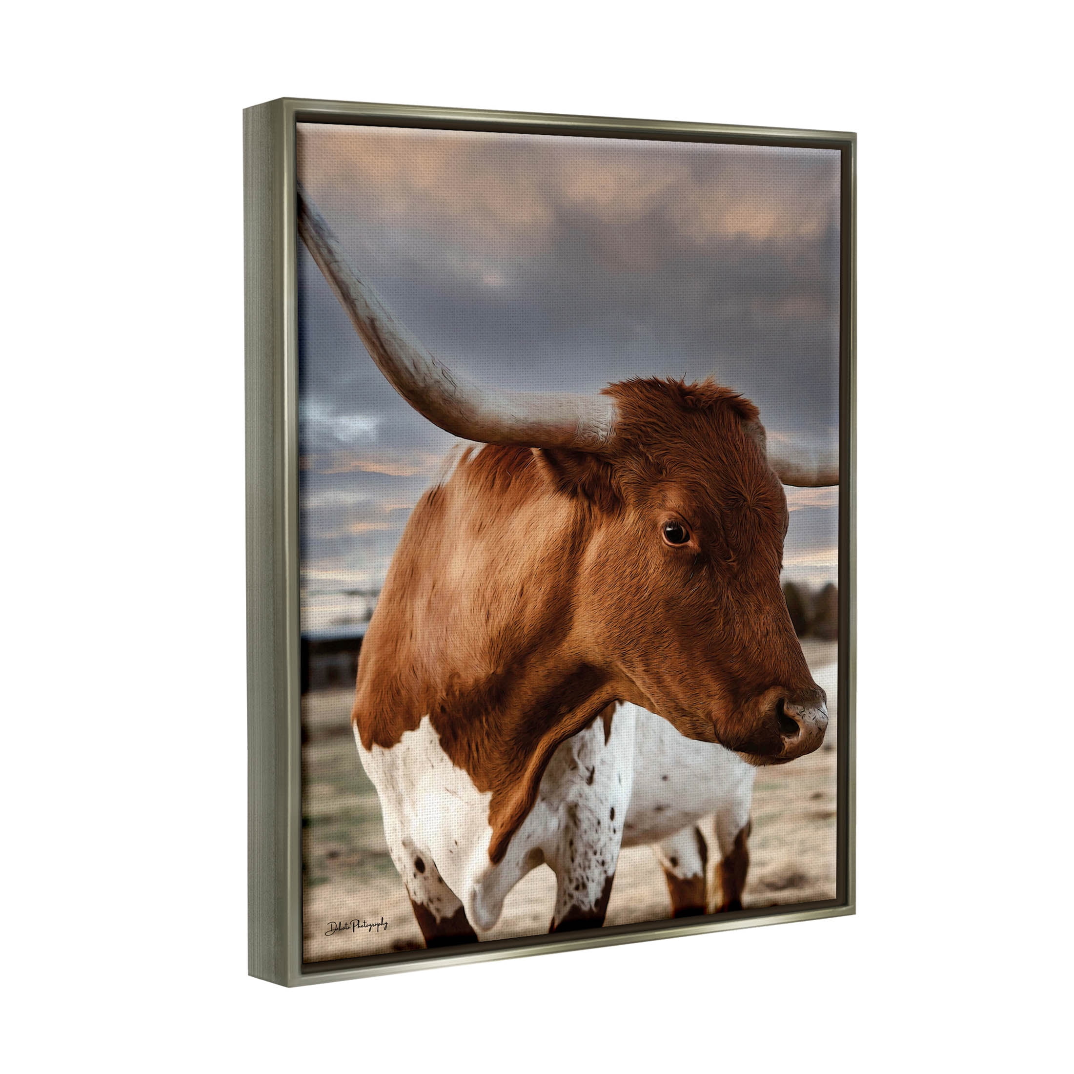 Stupell Industries Rural Farm Cattle Cloudy Ranch Sky Photograph Luster Gray Floating Framed Canvas Print Wall Art, Design by Dakota Diener