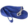 Gatsby Nylon Lead/Snap 6ft Royal