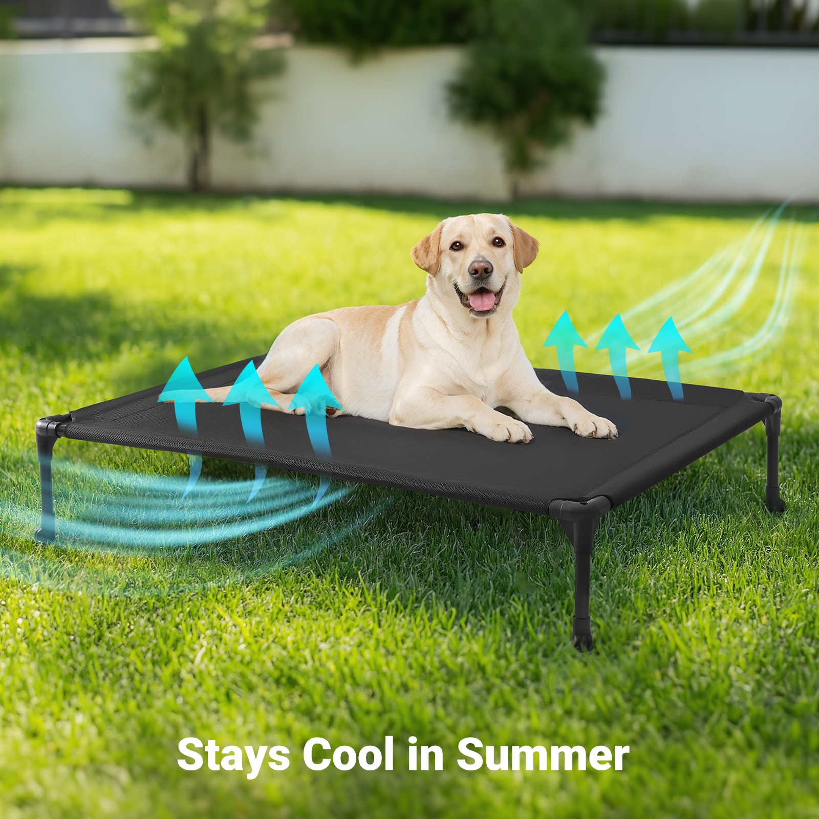 Veehoo Cooling Elevated Dog Bed, 42" x 30", Black photo 6