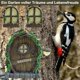 thumbnail image 3 of Decoración de jardín de hadas a prueba de heladas, puerta de hadas para exteriores Magical Realm con material de poliresina resistente a la intemperie, atmósfera encantada para decoración de patio,, 3 of 4