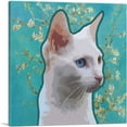 thumbnail image 1 of ARTCANVAS Burmilla Cat Breed Teal Canvas Art Print - Size: 18" x 18" (1.50" Deep), 1 of 9