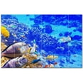 thumbnail image 1 of Coral Fish Underwater Ceramic Tile Mural Kitchen Backsplash Bathroom Shower, 403, 1 of 3