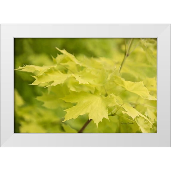 Murdock, Ramona 18x13 White Modern Wood Framed Museum Art Print Titled - Spring Leaves I