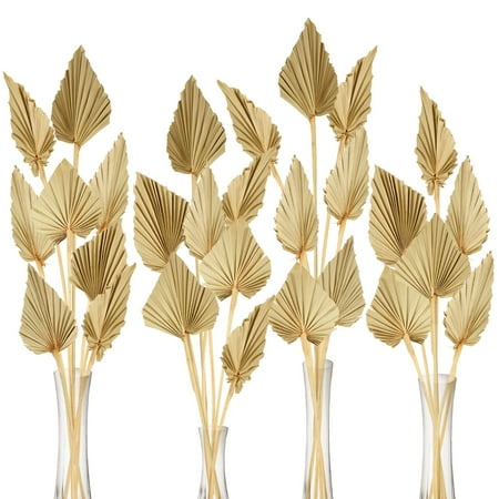 

Coume Boho Dried Palm Spears Bohemian Decor Decorative Dried Palm Leaf Modern Minimalist Palm Fan Le