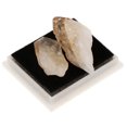thumbnail image 3 of Colección de Rocas Y Minerales de Ciencia de Geología Juguete de Ciencia perfke Colección Rock y Mineral, 3 of 9