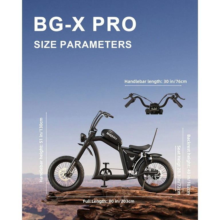 BIGNIU BG-X PRO Electric Bike for Adults,740W Brushless Motor 52V