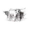 thumbnail image 3 of Harper, Ethan 24x17 Black Modern Framed Museum Art Print Titled - Contemporary Cattle II, 3 of 5