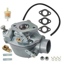 LABLT 533969M91 Carburetor for Massey Ferguson TO35 35 40 50 F40 50 135 150 202 204