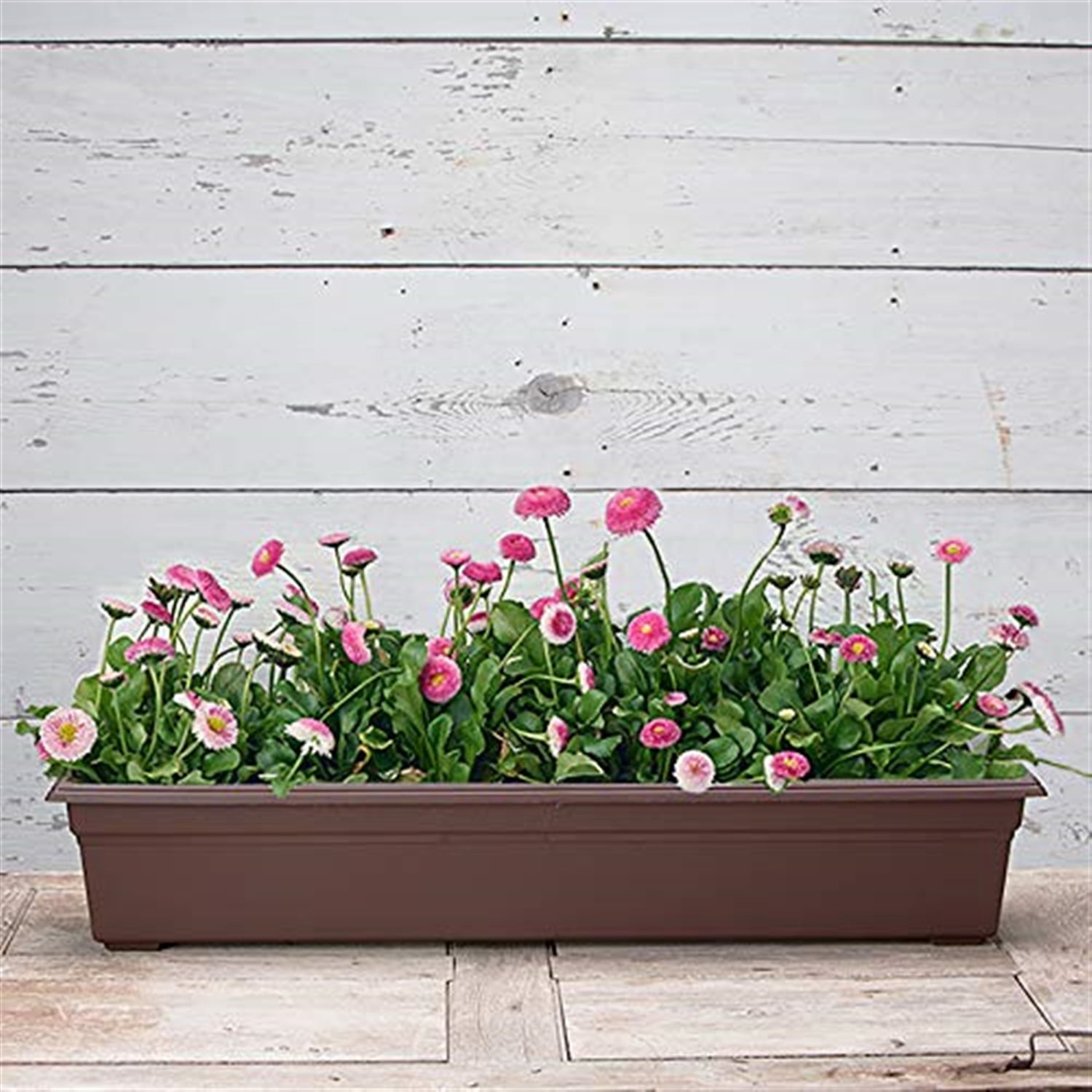 Root & Vessel Countryside Flower Box, Brown, 36"
