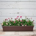 thumbnail image 2 of Root & Vessel Countryside Flower Box, Brown, 36", 2 of 6