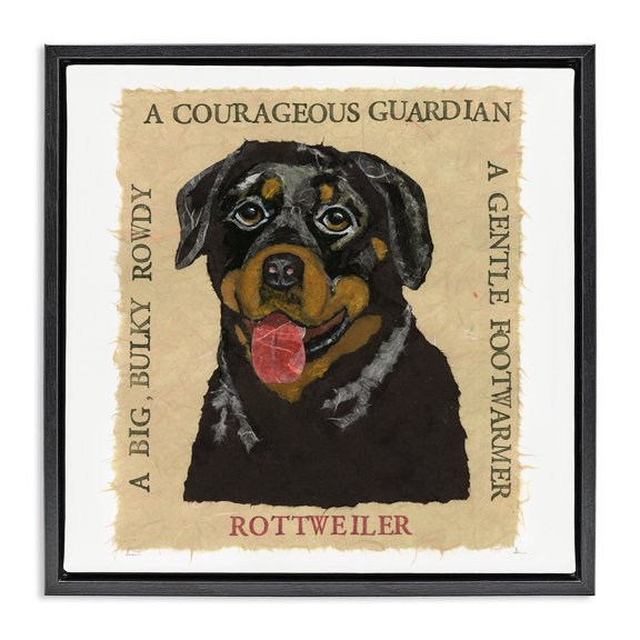 Stupell Industries Fun Rottweiler Pet Phrases Animals Painting Black Floater Framed Canvas Art Print Wall Art, 18 x 18