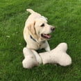 thumbnail image 4 of Carolina Pet 017870 Bone Shaped Pillow Toy - Natural, Medium, 4 of 5