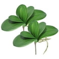 thumbnail image 1 of Uxcell Hojas de Orquídea Falsas de 4.4 pulgadas Tacto Real 5 Pétalos Hoja de Phalaenopsis Artificial Rama de Planta 2 Paquete Verde, 1 of 7