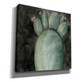 thumbnail image 2 of Epic Graffiti 'Big Blooming Cactus I' by Cindy Jacobs, Canvas Wall Art, 26"x26", 2 of 2