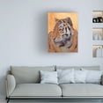 thumbnail image 3 of Jacob Green 'Lord of the Jungle II' Canvas Art, 3 of 3