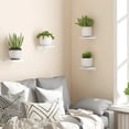 thumbnail image 4 of 4Pack Small Floating Shelves for Wall, Wood Shelf 5 Inch Display Ledges Room Decor, Mini with 2 Types of Installation, 4 of 9