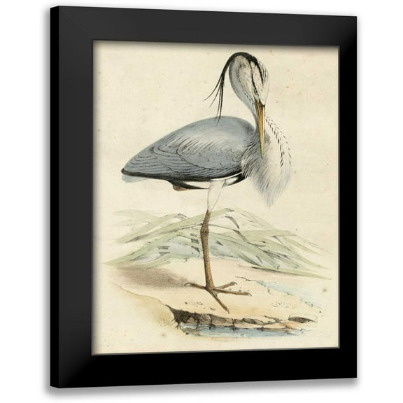 Unknown 12x14 Black Modern Framed Museum Art Print Titled - Antique Heron IV