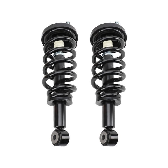 Rear Shock Absorber and Coil Spring Assembly Set 2 Piece - Compatible with 2007 - 2017 Ford Expedition 2008 2009 2010 2011 2012 2013 2014 2015 2016
