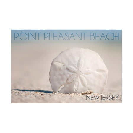 Point Pleasant Beach, New Jersey - Sand Dollar Print Wall Art By Lantern