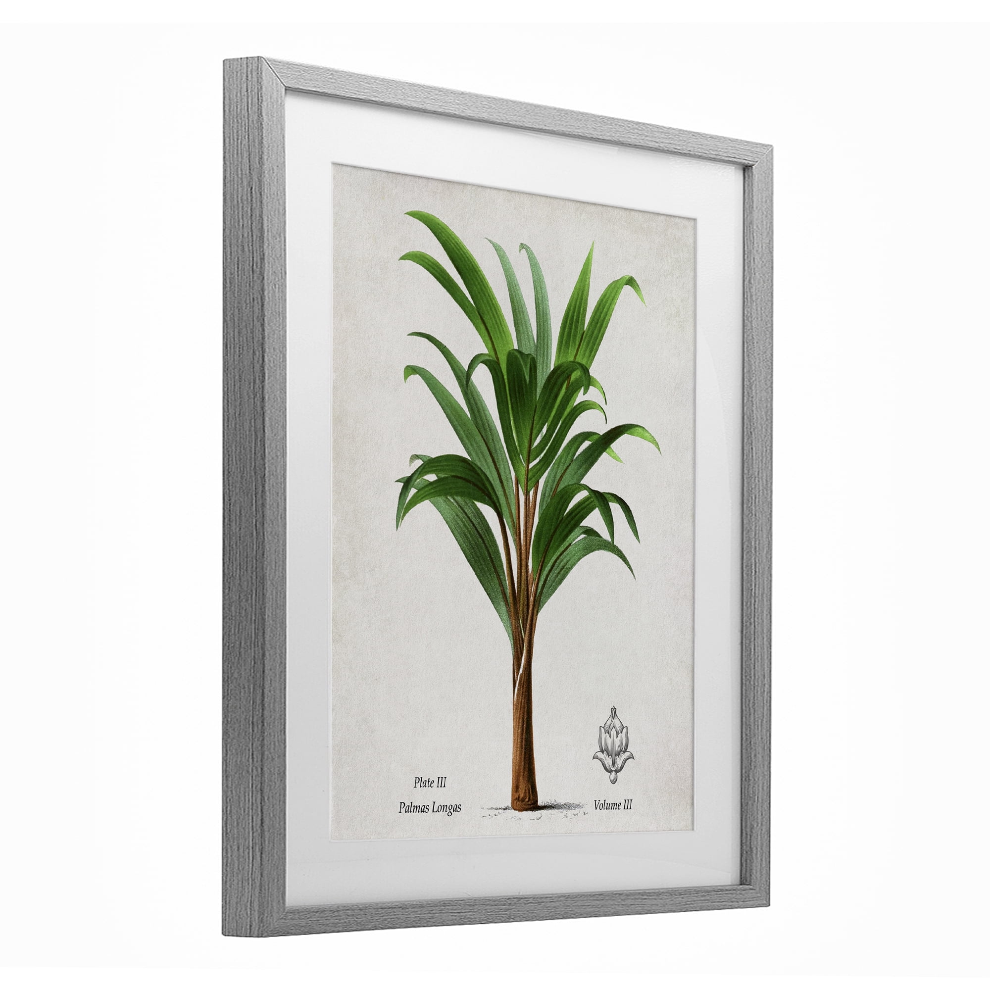 Stupell Industries Palmas Longas Palm Tree Gray Framed Print Under Glass, design by Val Rhodes
