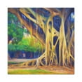 thumbnail image 1 of Banyan Tree Splendor - Canvas, 1 of 10