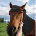 thumbnail image 3 of Red Light Appareil de Luminothérapie à DEL pour Cheval, Luminothérapie Profonde Portable, Appareil de Luminothérapie Infrarouge Portable pour Chevaux, pour Tête de Cheval Récupération Musculaire, 3 of 7