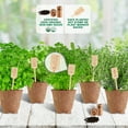 thumbnail image 5 of Spade To Fork 1,100 Non GMO Basil, Cilantro, Parsley, Sage, and Thyme Culinary Herb Seeds, 5 of 6