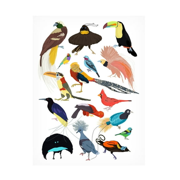 Trademark Fine Art Hanna Melin Birds of Paradise Canvas Wall Art