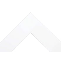 Rayne Mirrors Rayne Beveled Full Length Mirror