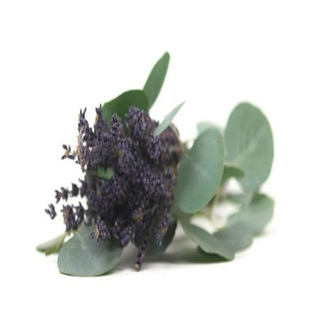 LAVENDER EUCALYPTUS FRAGRANCE OIL - 2 OZ - FOR CANDLE & SOAP MAKING BY VIRGINIA CANDLE SUPPLY - FREE S&H IN