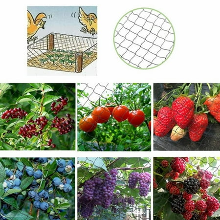 50 X82 Anti Bird Protection Net Mesh Garden Plant Netting Protect Plants And Fruit Trees From Rodents Birds Deer Poultry For Seedlings Vegetables Fruit Bushes Reusable Fencing Walmart Canada
