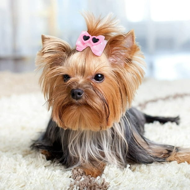 IGUOHAO 10Pcs Dog Hair Clips Heart Sunglass Pet Hair Bows Alligator Hairpins Small Animal Hair Barrettes Pet Hair Accessories Grooming with Rubber Bands for Cat Walmart