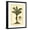 Black Frame, variant on Art.com British Colonial Palm IV Art Print, 12" x 16"