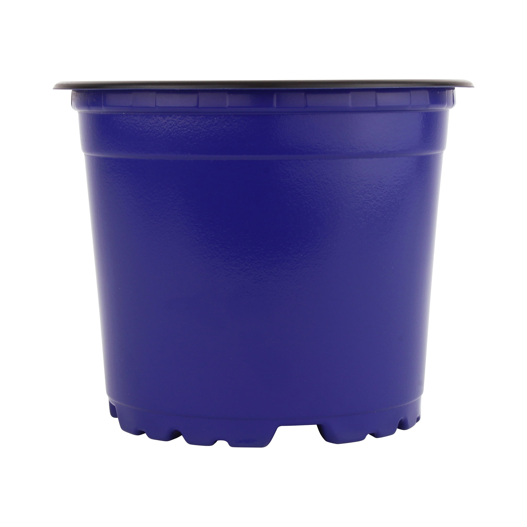 sunflower専用 サンフラワーファイヤーフライランプ(Blue)｜ トーヨーキッチン