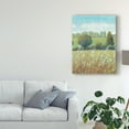 thumbnail image 3 of Trademark Fine Art 'Summer Breeze II' Canvas Art by Tim OToole, 3 of 4