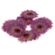 thumbnail image 5 of Hermosas flores prensadas naturales, flores secas para manualidades y joyería de resina. Margarita púrpura, 5 of 9