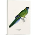 thumbnail image 1 of ARTCANVAS Bauer's Parakeet 1832 Canvas Art Print by Edward Lear - Size: 26" x 18" (0.75" Deep), 1 of 9