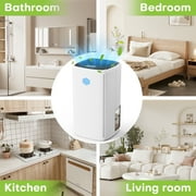 KLOUDIC Dehumidifier for Home (280 sq. ft), 37Oz Water tank,Portable and Quiet with Auto Shut Off