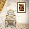 thumbnail image 3 of Shimlock, Jones 14x18 Gold Ornate Wood Framed with Double Matting Museum Art Print Titled - Indonesia, Raja Ampat Pygmy seahorse by coral, 3 of 4
