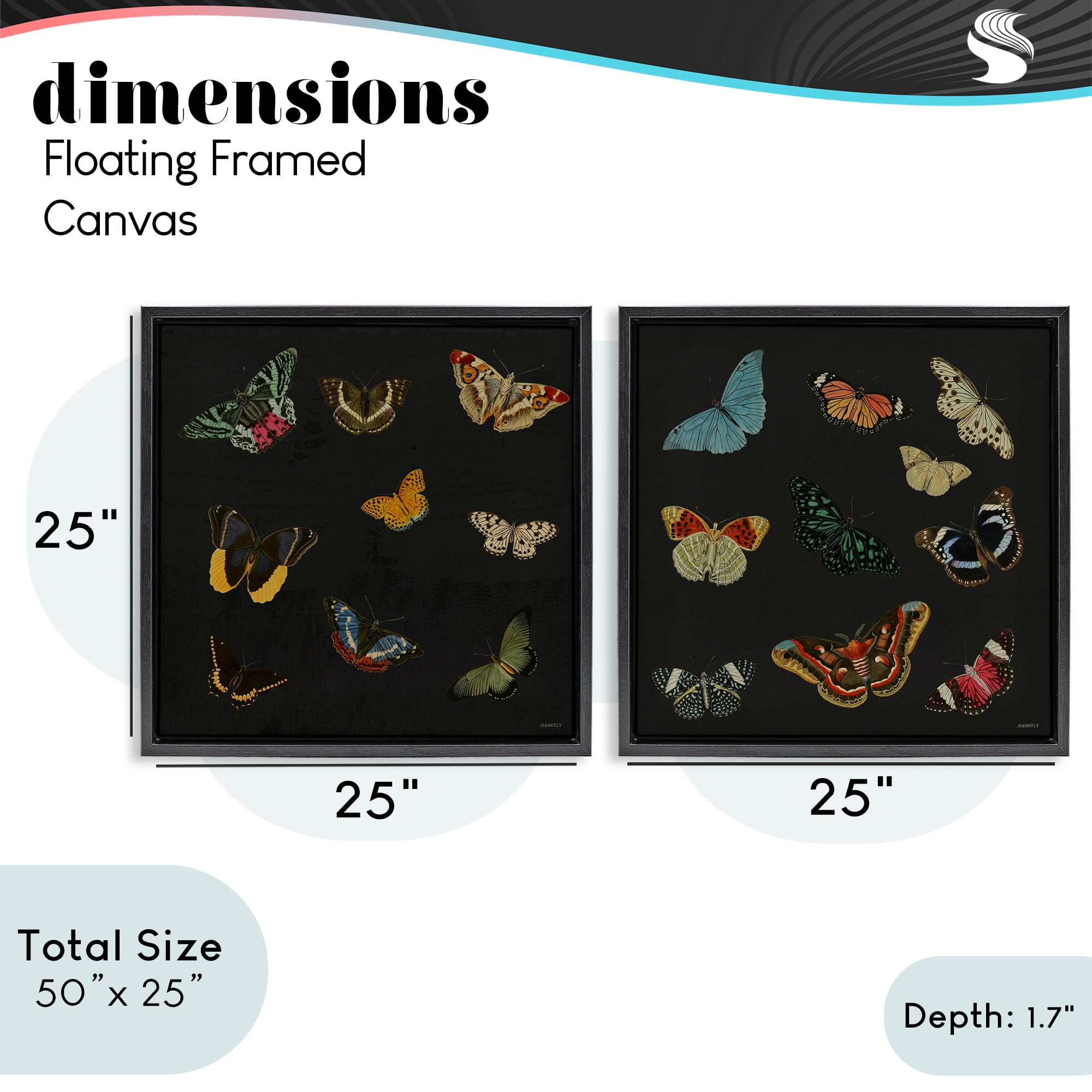 Stupell Industries Entomology Collection on Black 2 Piece Black Framed Floater Canvas Set, design by Dan Meneely