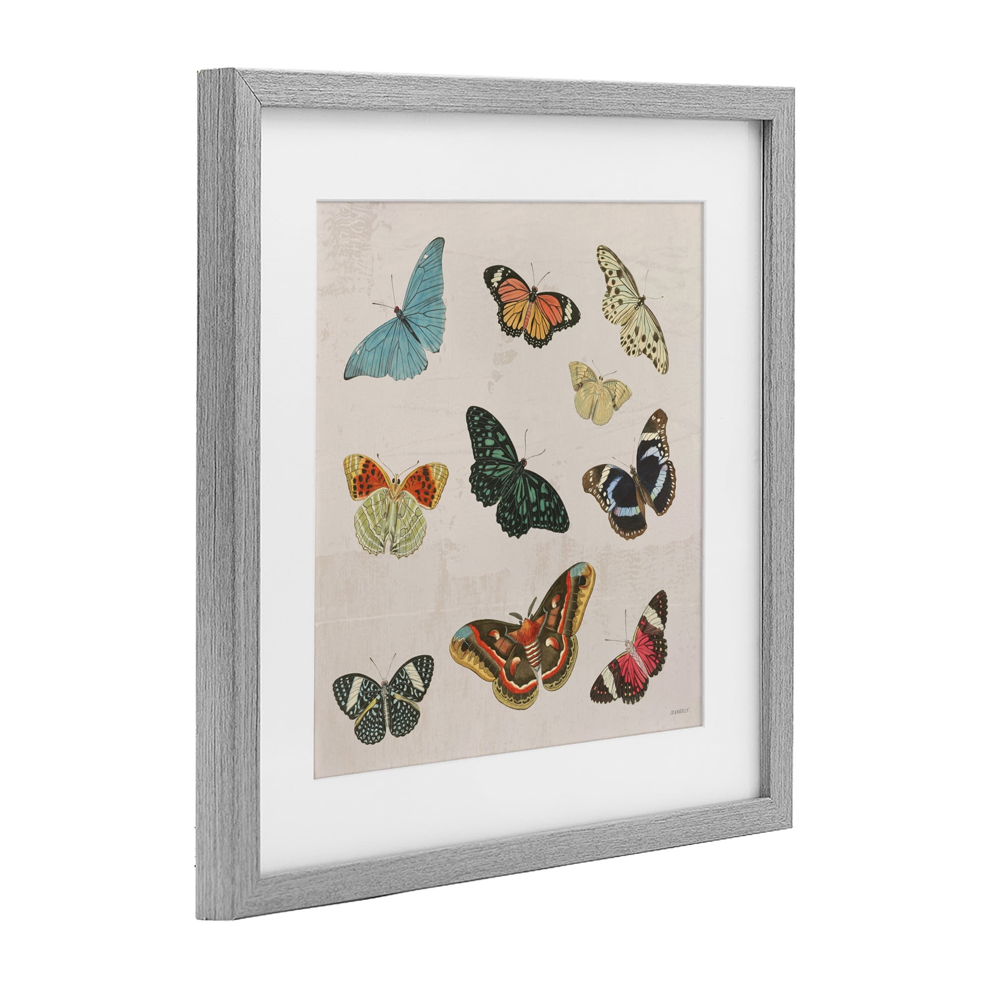 Stupell Industries Vintage Butterfly Flight Gray Framed Print Under Glass, design by Dan Meneely