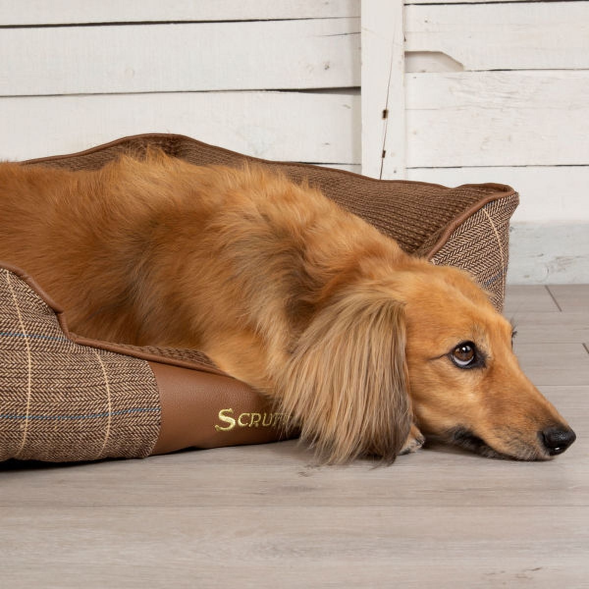 Scruffs windsor shop dog bed