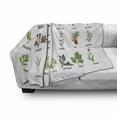 thumbnail image 2 of Herb Soft Flannel Fleece Throw Blanket, Natural Treatment Infographic Scheme with Healthy Plants and Names Herbalism Themed, Cozy Plush for Indoor and Outdoor Use, 50" x 60", Multicolor, by Ambesonne, 2 of 5