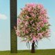 thumbnail image 5 of 1/50 árboles Modelo Modelo árbol Para Paisajismo Ferroviario - re, 5 of 8