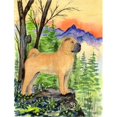 thumbnail image 1 of Carolines Treasures SS8324GF Shar Pei Drapeau - Taille Jardin, 1 of 3