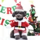 thumbnail image 1 of Traje navideño para mascotas, lindos disfraces navideños de Papá Noel para perros y gatos con gorro de Papá Noel, ropa navideña para mascotas para , S S, 1 of 8