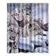 thumbnail image 1 of ABPHQTO Cortina de ducha de leopardo Cortina de ducha impermeable 150x180 cm, 1 of 2